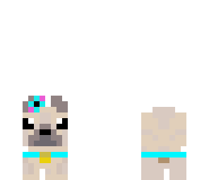 skin1
