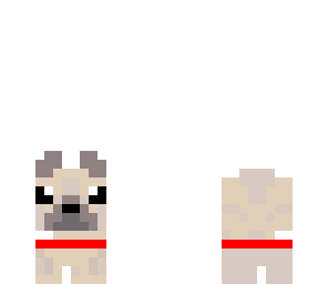 pug
