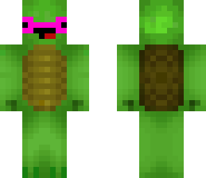 fancy turtle