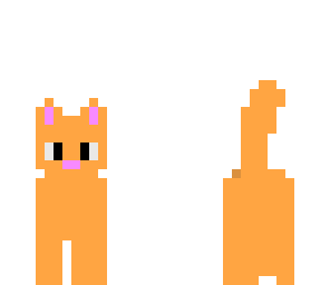 kitten