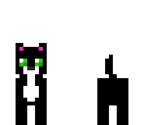 cat 3