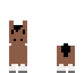 bay horse