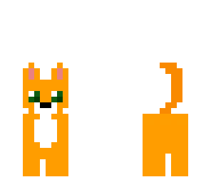 orange cat
