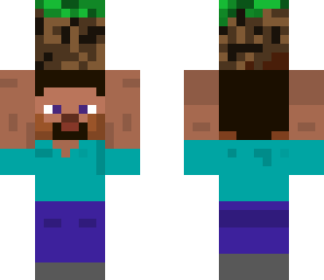 mini steve