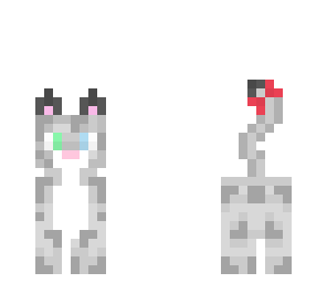 gray cat