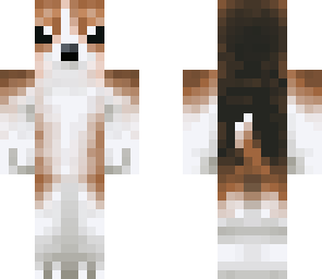 cute dog