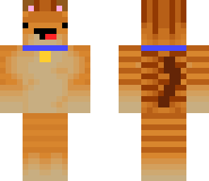 gato pro