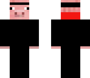ninja pig
