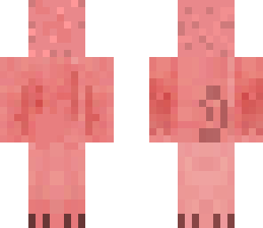 pig