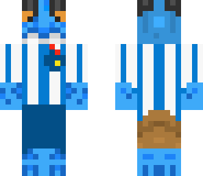 swampert fc porto