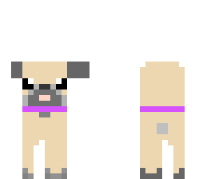 perro