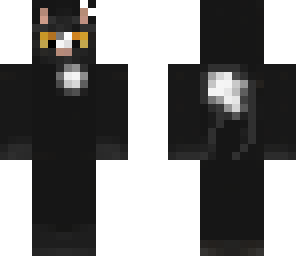 ravenpaw for kirby100