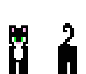 kitty cat