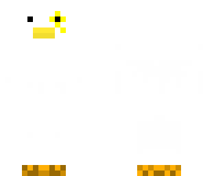 dr duck