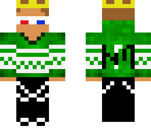 skin for nikola
