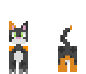 my little cat