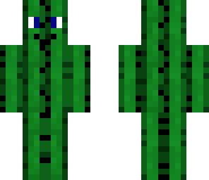 mqrk cactus