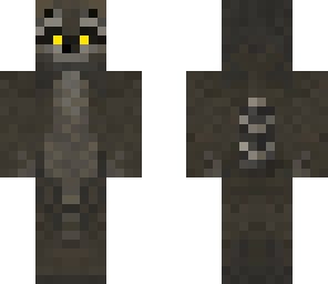 raccoon