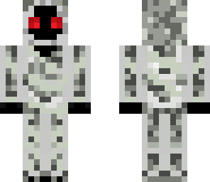 entity 303