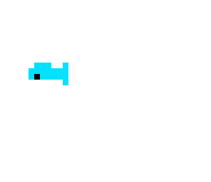 dolphin