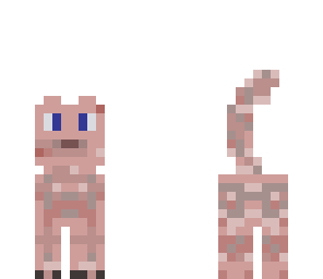 pig cat