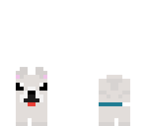 cute white puppy