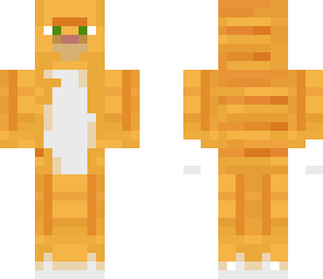 ginger cat