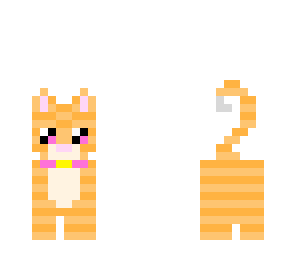 my dream cat