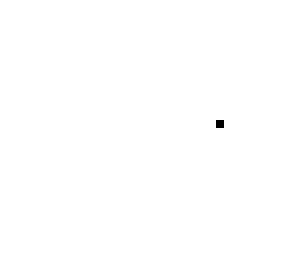 the point