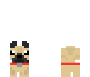 cute pug
