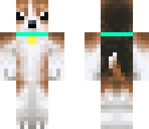 beagle with collar