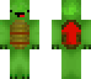 rocket turtle