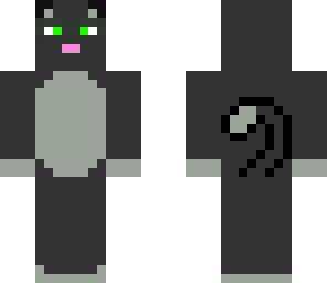 the cat