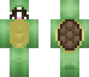 dog in turtle costume