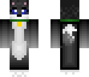 gray dog