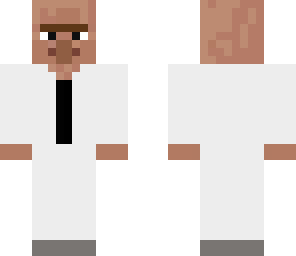 librarian villager
