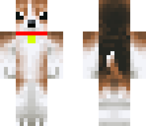 beagle with collor