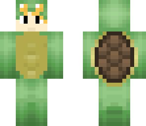 turtle costume