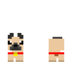 pug
