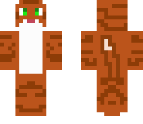 orange cat