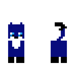 midnight cat
