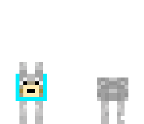 dog with light blue collar