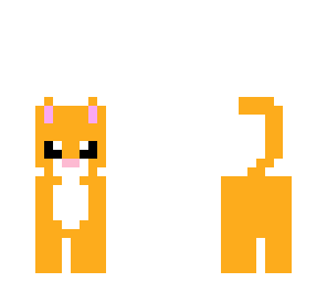 orange kitty