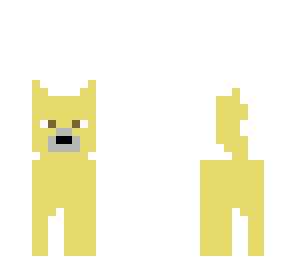 ruffus my dog