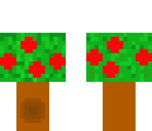apple tree