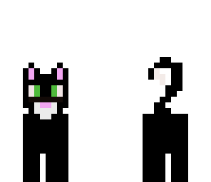 black cat