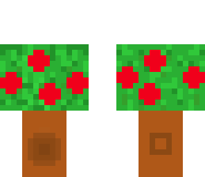 apple tree