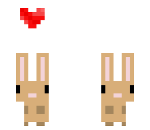 cute bunny