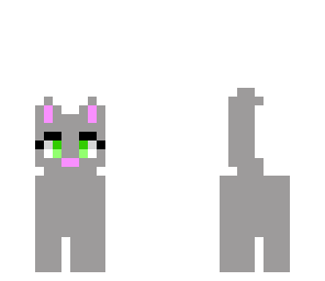 grey kitty