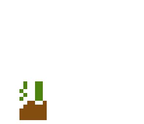 poo